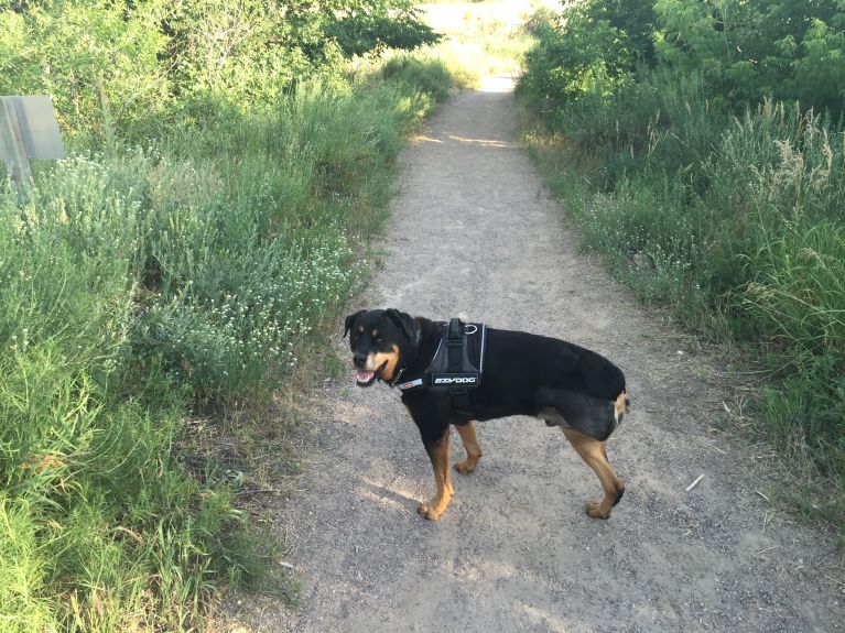 Me walking at the Audubon.