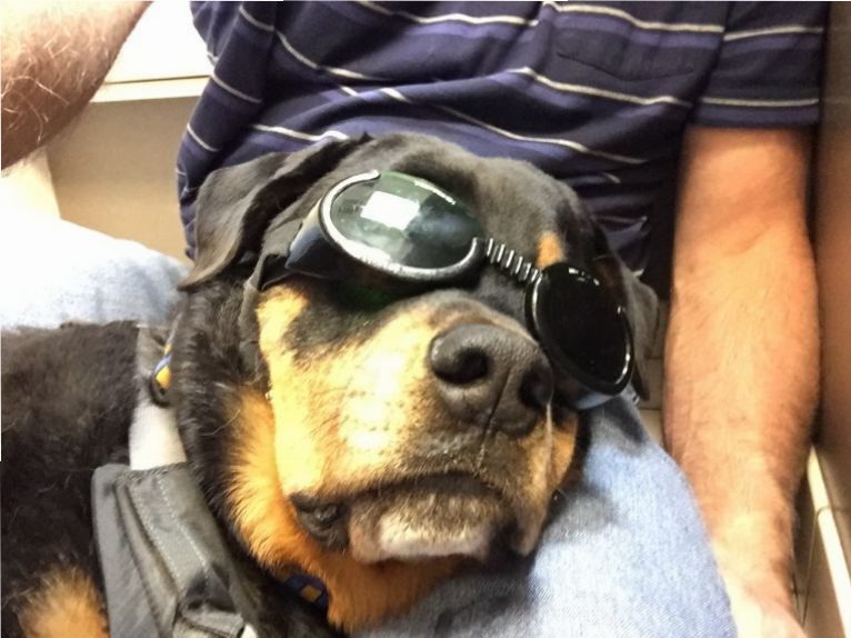 I am looking stylish for my laser treatment